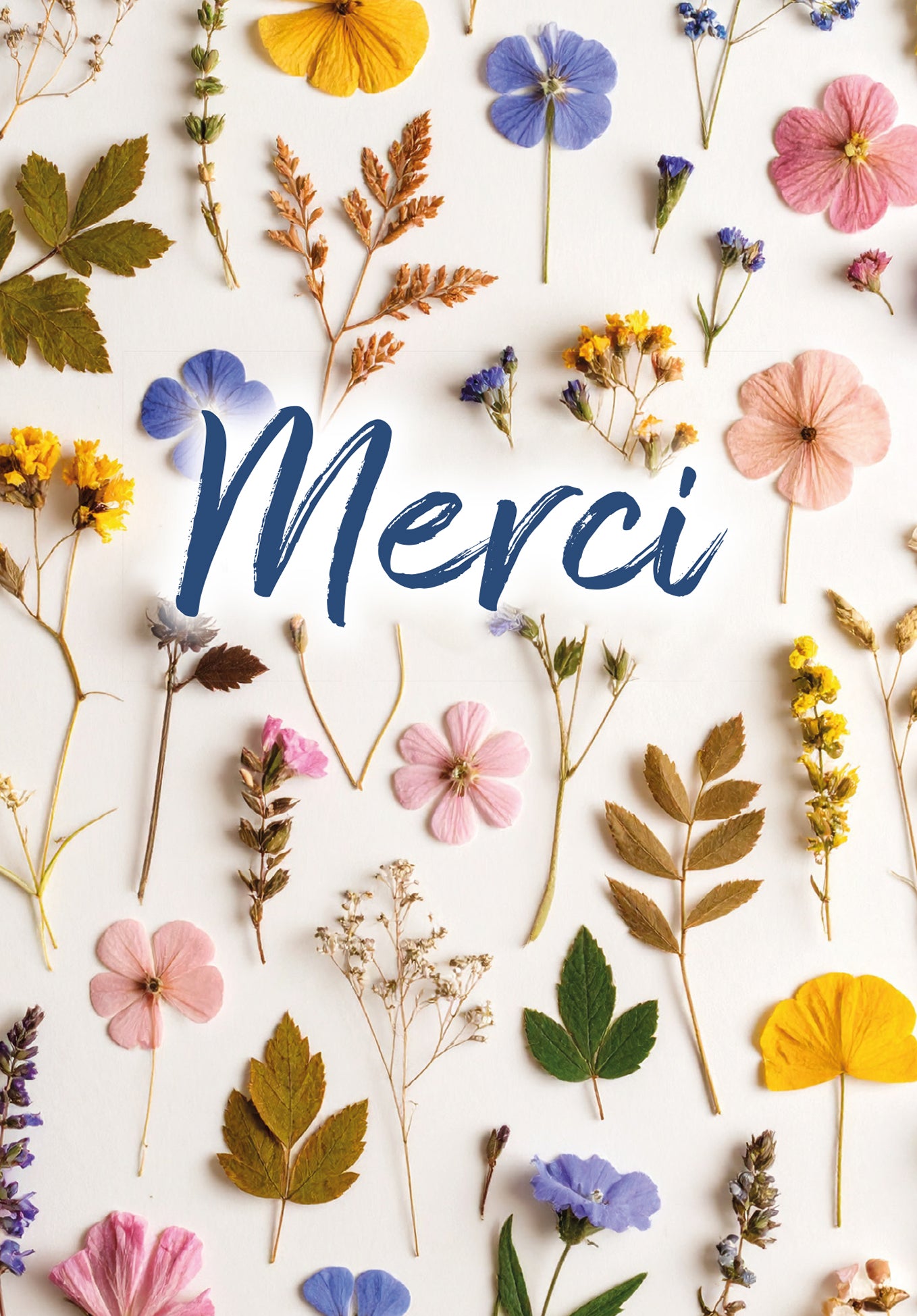 Merci - Fleurs séchées multicolores