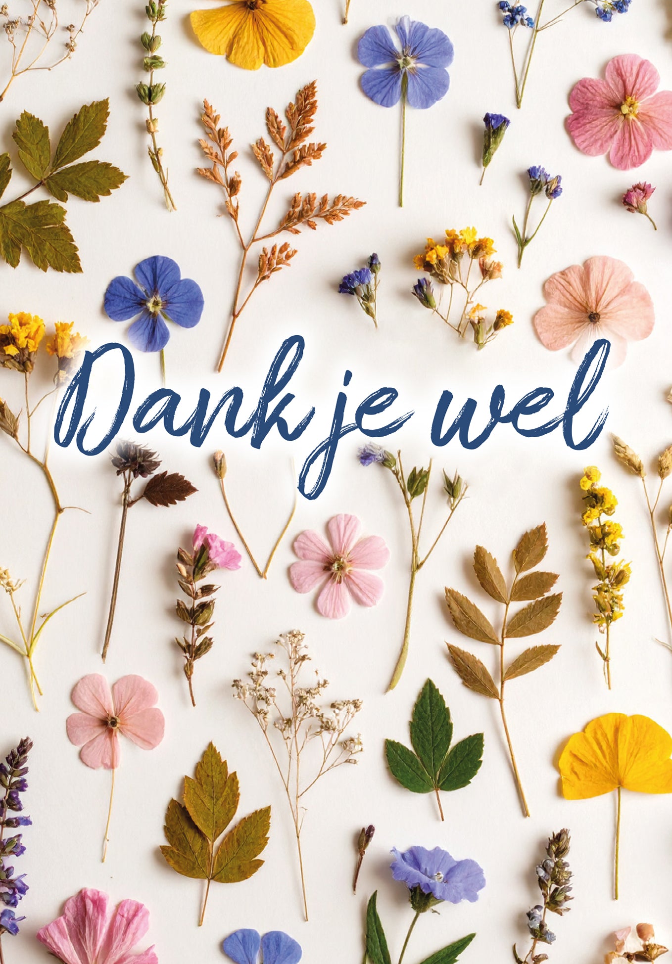 Dank je wel - Gedroogde bloemen gekleurd