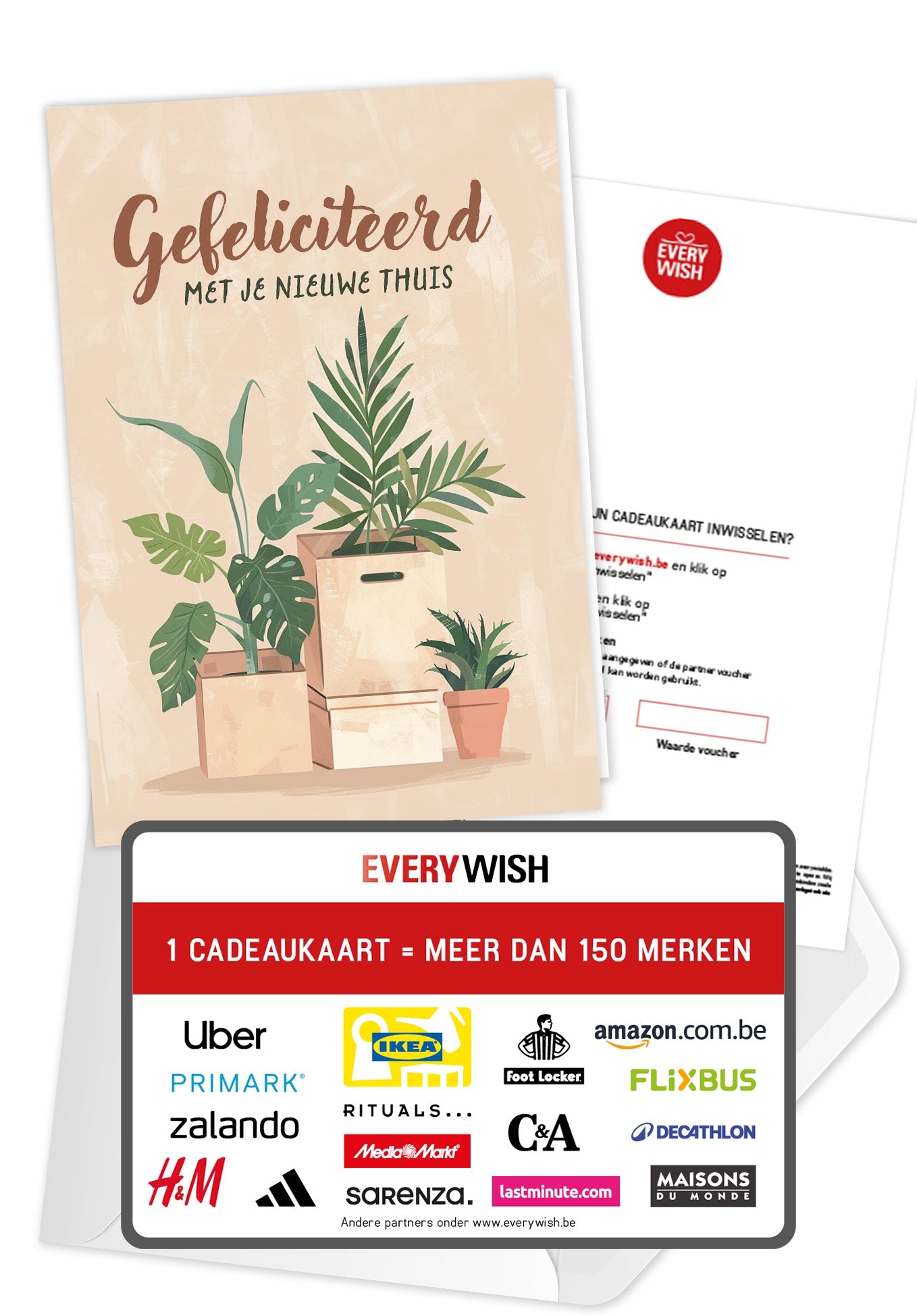 Gefeliciteerd met je nieuwe thuis - Dozen en planten