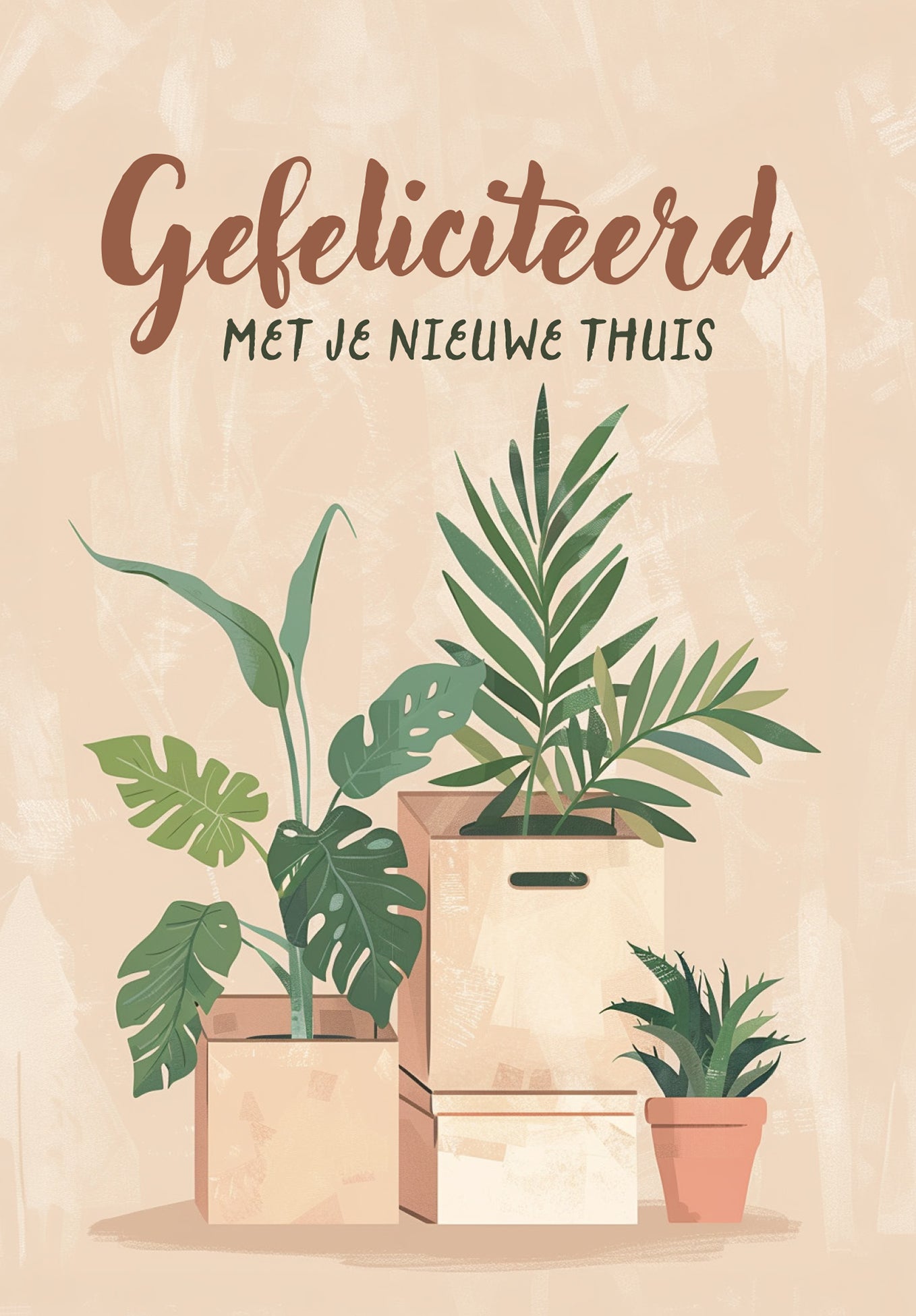 Gefeliciteerd met je nieuwe thuis - Dozen en planten