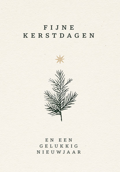 Fijne kerstdagen en een gelukkig nieuwjaar - Tak en ster