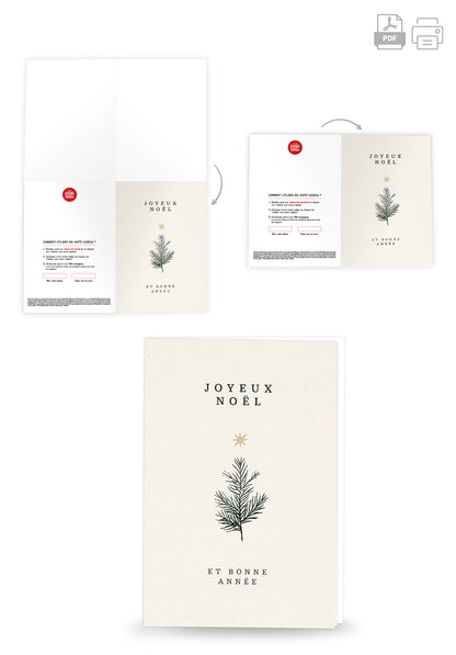 Joyeux Noël et bonne année - Branche et Étoile