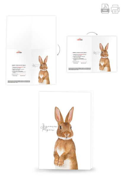 Joyeuses Pâques - Lapin de Pâques