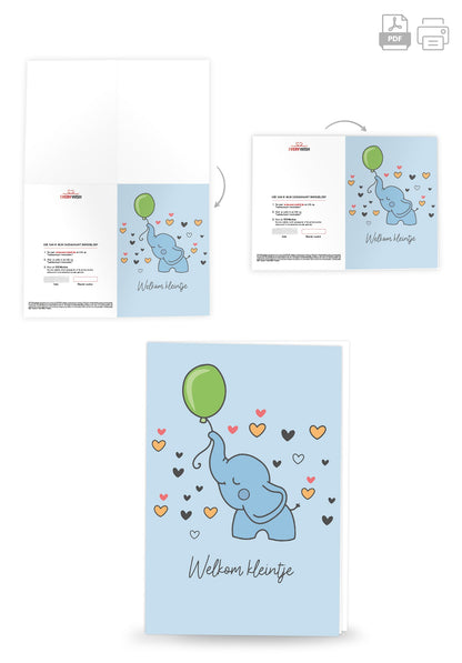 Welkom kleintje - Olifant PDF